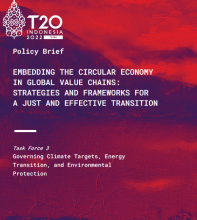 T20 policy brief